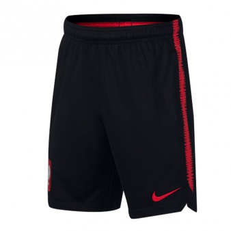 Spodenki Nike Kids Dry Poland Squad Shorts 893825 010