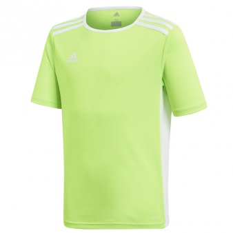 Koszulka adidas Entrada 18 JSY Y CE9755