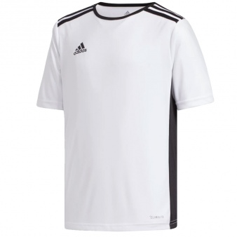 Koszulka adidas Entrada 18 JSY Y CF1044