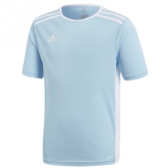 Koszulka adidas Entrada 18 JSY Y CF1045