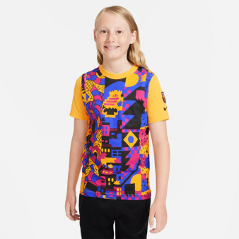 Koszulka Nike FC Barcelona DC1474 726