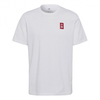 Koszulka adidas FC Bayern Street Tee GR0705