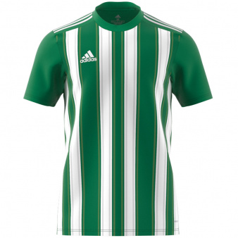 Koszulka adidas STRIPED 21 JSY H35644