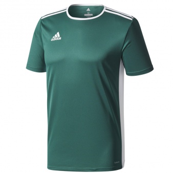 Koszulka adidas Entrada 18 JSY CD8358