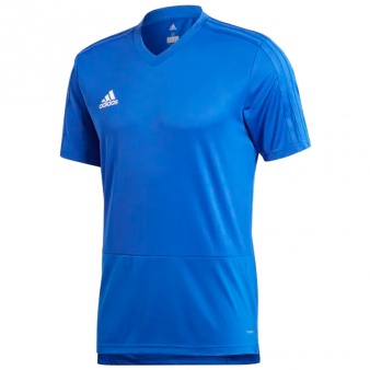 Koszulka adidas Condivo 18 TR JSY CG0352