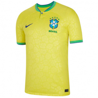 Koszulka Nike Brazylia Stadium JSY Home DN0678 433